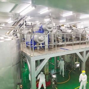 Automatic Mango Processing Line Juice Machine Industrial Commercial