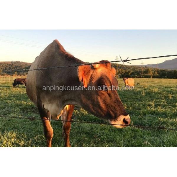 Hot Dip Galvanized Diamond Shape Cyclone Wire Mesh Chain Link Fence with Top Barbed Wire