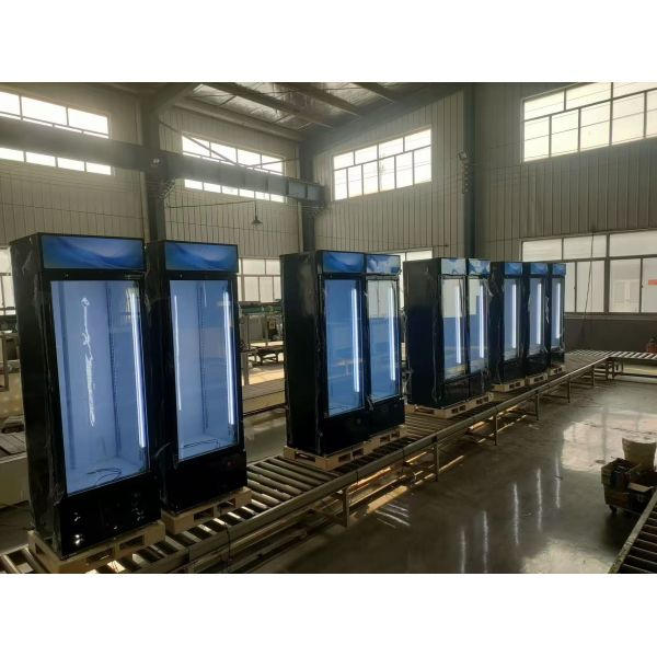 Single Temperature Glass Beverage Fridge Refrigerated Beverage Cooler
