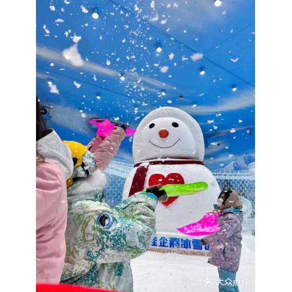 FOCUSUN Four Season Snow Park Design Snow Falling Machine and Bitzer Compressor R404A