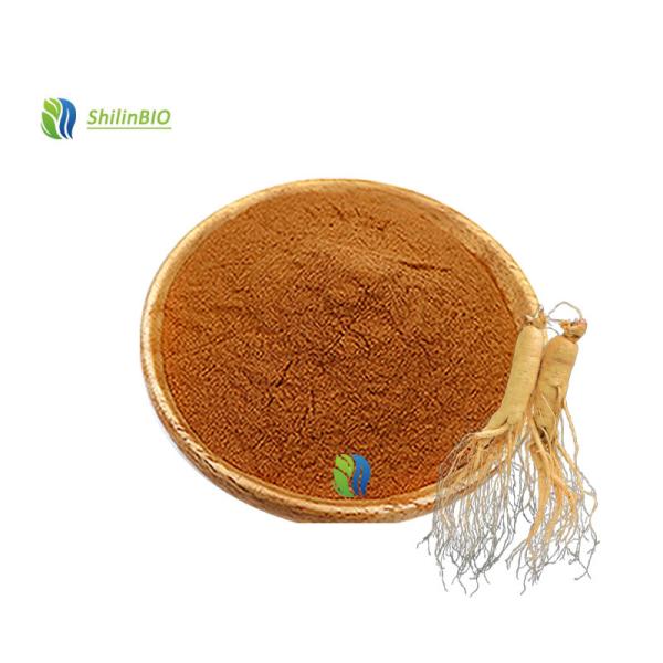 Ginger Extract Powder 1%-20% Gingerol