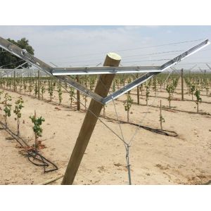 Vertical Grape Trellis Vineyard Fence Posts With Different Surface Treatment