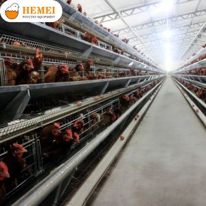 Buy cheap “A” Type Layer Cage product