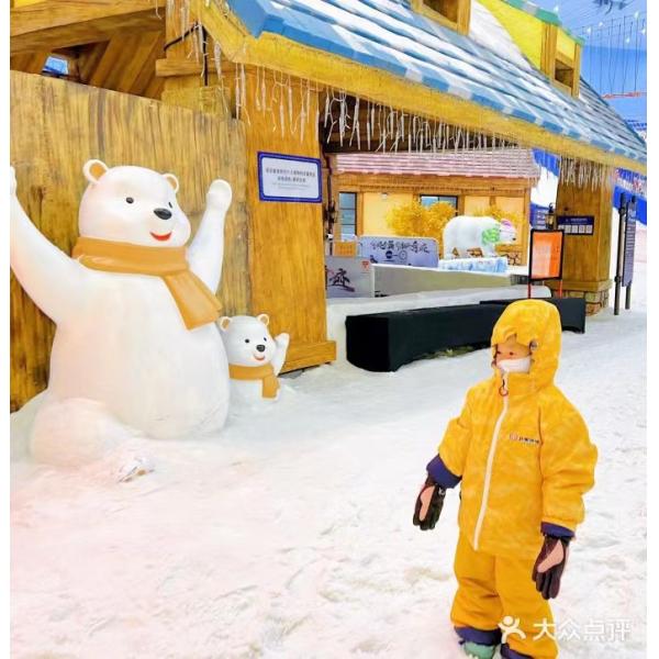 FOCUSUN Four Season Snow Park Design Snow Falling Machine and Bitzer Compressor R404A