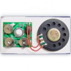 Power - off protection design AG10 batteries Recordable Sound Module with IC,