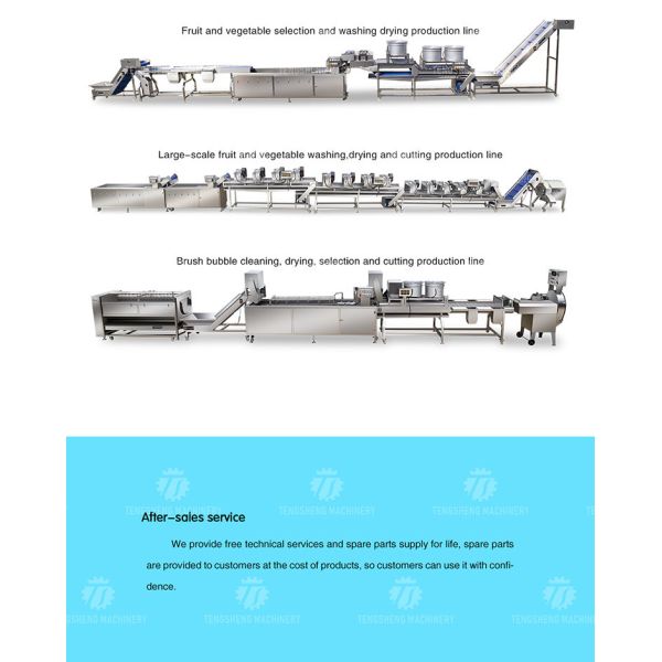 SS Slender No Sticky Edges Vegetable Processing Machine Tengsheng