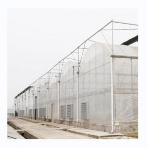 China PE Multi Span Greenhouse for Tomato Growing and Agricultural in Tropical Climate on sale
