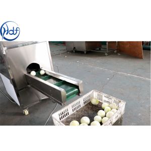 SUS304 Onion Processing Equipment Onion Skin Peeling Machine High Efficiency