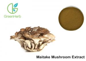 Buy cheap 30% Polysaccharides Maitake Mushroom Extract Powder Grifola Frondosa product