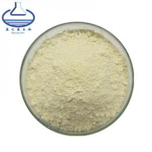 China Sophora Japonica Ginseng Root Extract Powder HPLC UV  CAS 446-72-0 on sale