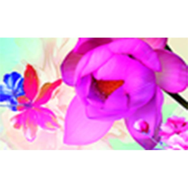 Japanese Thk Rail Large Sublimation Printer Clothing Dye Sublimation Transfer Printer