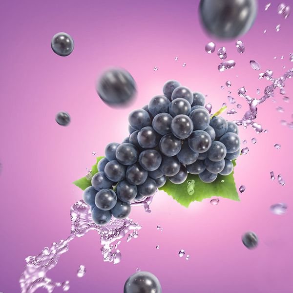 SUS304 Automatic Fruit Processing Equipment Blueberry Washing Machine