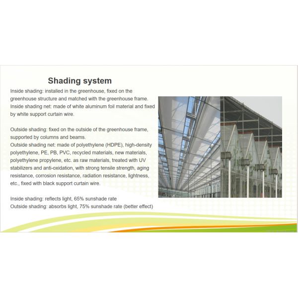 Customizable Dutch Venlo Greenhouse