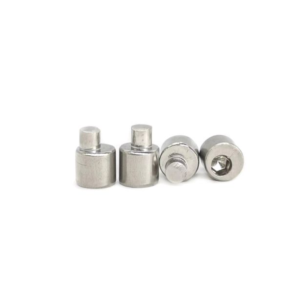 Stainless Steel Eccentric Adjustment Screw