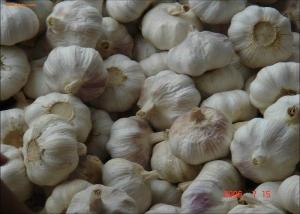 2016 Shandong Province China Pure and Normal White Organic Garlic with New Crop