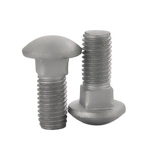 Coach bolts