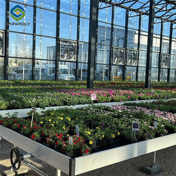 Customizable Dutch Venlo Greenhouse