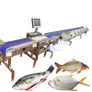 Buy cheap Fully Automatic Fish Weight Sorting Machine Food Conveyor Weighing Scale product