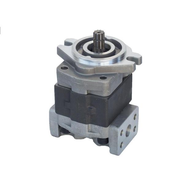 Compact Structure Hydraulic Gear Pump Precise And Detailed Structural Design