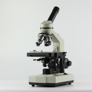 China Multi purpose biological microscope BLM-MN104 on sale