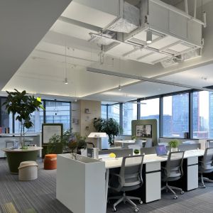 Jiayao Co., Ltd.