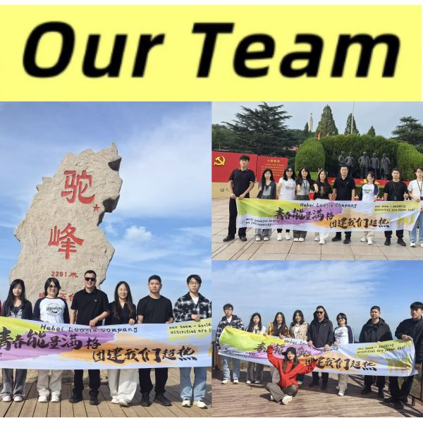 Durable Powder Coating Welded Anti Climb 358 Anti Climb Fence Trellis & Gates For Airport