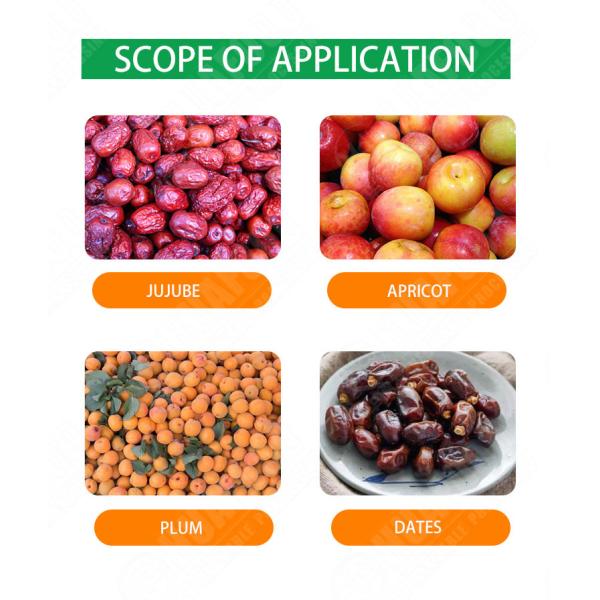 84000pcs/h Electric Cherry Pitter Calcium Fruit Pitting Machine Cherry Destone Machine