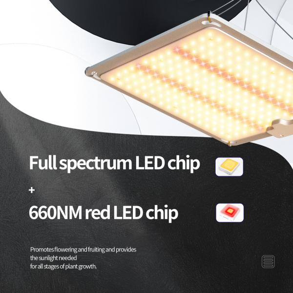 100W Full Spectrum LED Grow Light with 660nm Red Light for Flowering and Fruiting Plant Lamp