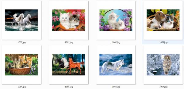 0.75mm Thickness Plastic Animal 3D Lenticular Pictures For House Decoration