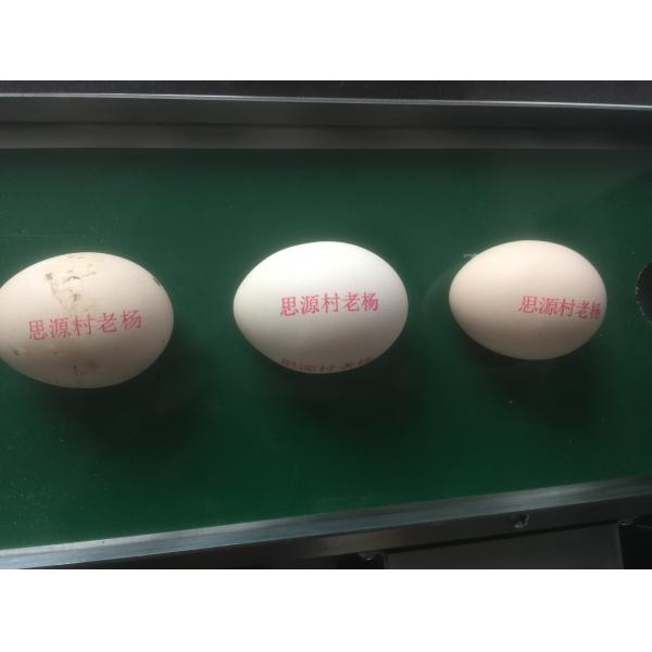 Drag And Drop Convey Egg Inkjet Coding Machine Intelligence For Poultry Industry