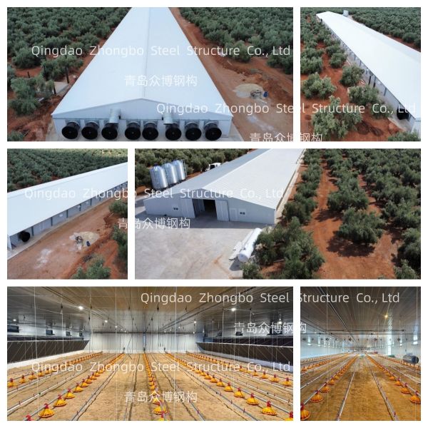 Prefab Light Steel Frame Structure Modular Frame Steel Structure Poultry House