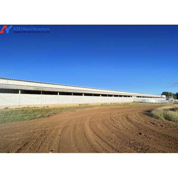 Prefabricated Steel Frame Housing Lightweight Steel Structure Piggery Housing