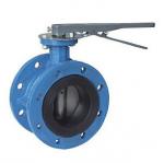 4 Inch Resilient Seated Butterfly Valves With Worm Gear / Double Flanged