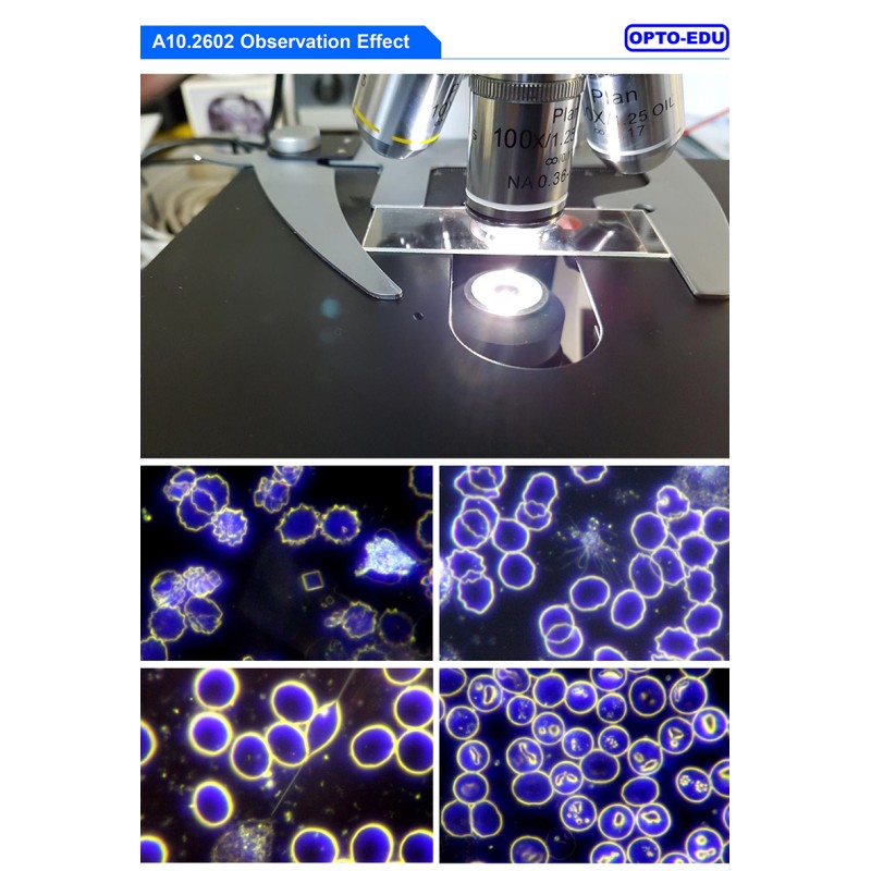 OPTO-EDU A10.2602 Dark Field Microscope with 5W LED Enhanced Illumination and WF10x Eyepiece for Professional Dark Field Condenser Applications
