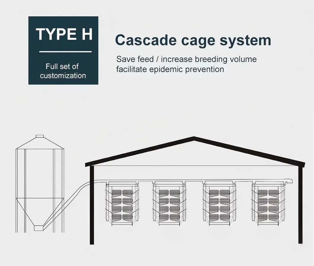 H Type Broiler Cage System Multi Tiers Chicken Broiler Cage With Harvesting System