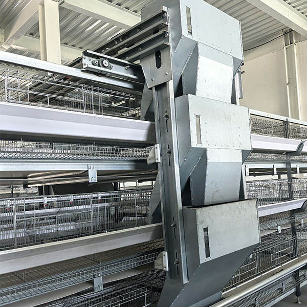 Rapid Installation Modular Poultry House with Corrosion Resistance for Modern Farming