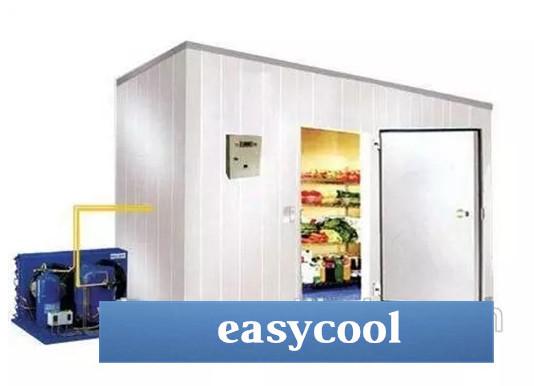 Quality Customized Size And Materials Insulated Panel Ice Storage Cold Room For Food Or Industrial Storage for sale