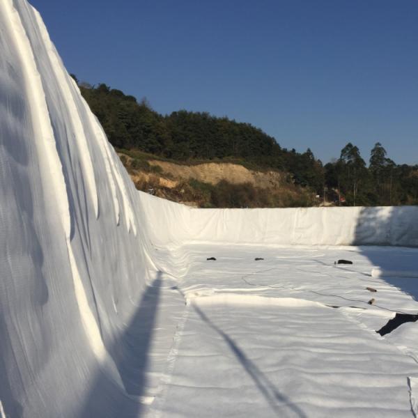 density Polyethylene Plastic Road Base Geonet 3D Composite Drainage Geonet Compound Net Length 50m
