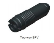 API/Back Pressure Valve for wellhead