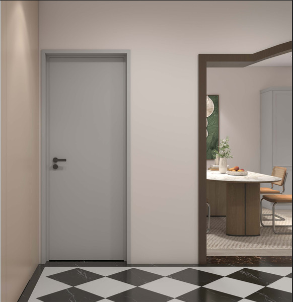 Starry Grey Stainless Steel Dual Frame Interior Door