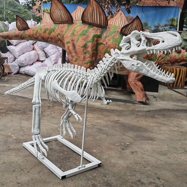 Jurassic Park Display Realistic Fiberglass T Rex Skeleton Model / Dinosaur Bone Model