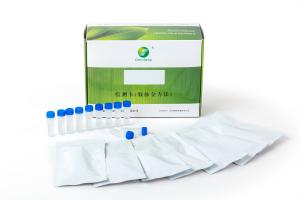 China Helicobacter Pylori Antigen (HP-Ag) Rapid Test Kit (Colloidal Gold) ISO,CE cetificated 25test per box on sale