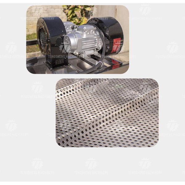 380V 4.25KW Vibration air drying operation line green bean vibration air drying equipment high wind vibration air dryer