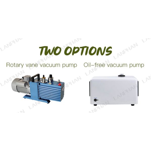 3M2 Lanphan Candy Cake Freeze Dryer Machine Fruit Vegetable Freeze Drying Lypholizer Machine
