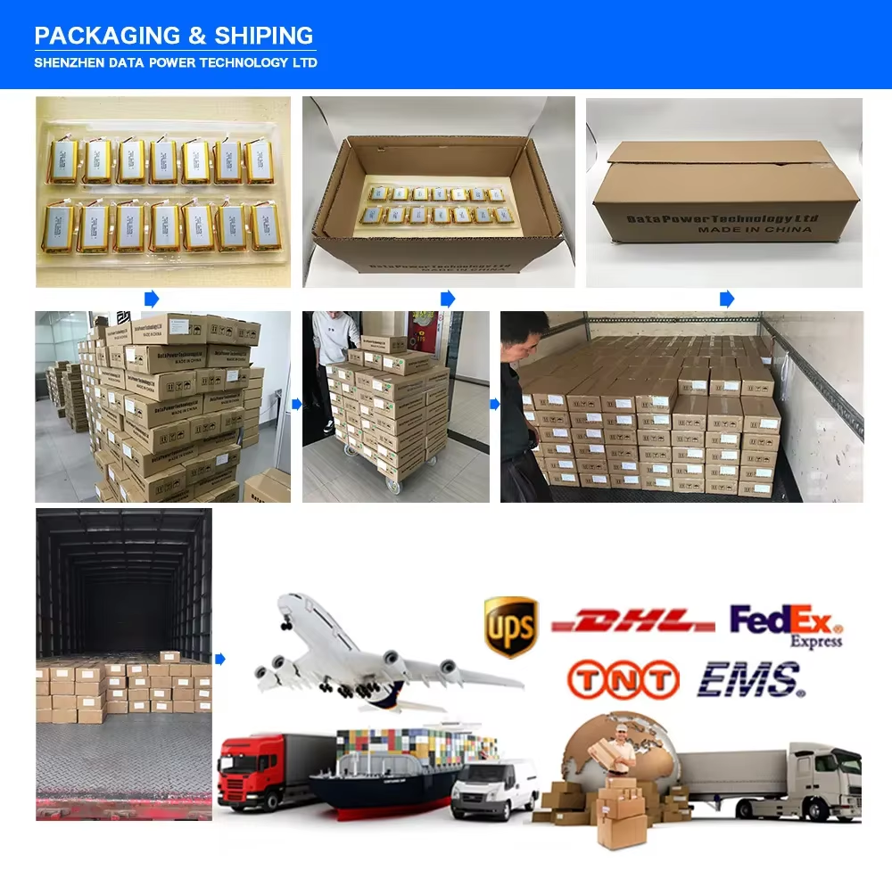 High-Capacity 24V 48V Universal Lithium Battery - Solution for Commercial Garden Tools Like Trimmer, Mower & Pump (OEM Support)
