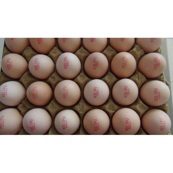 Egg Automatic Batch Coding Machine Printing 120000 Characters Per Hour