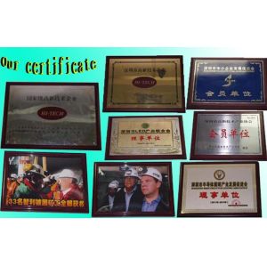 Golden Future Enterprise HK Ltd