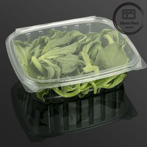 Buy cheap Rectangular Clear Plastic Hinged Salad Container Convenient Food Packaging Solution product