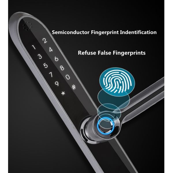 IP65 Antifreezing Aluminum Frame Fingerprint Glass Door Smart Lock