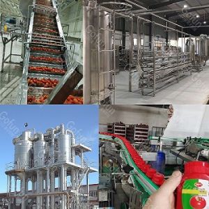 Modular Tomato Processing Line Evaporation Sterilization